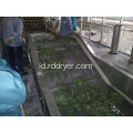 Proses Pengeringan Buah Mesin / Mesh Belt Dryer